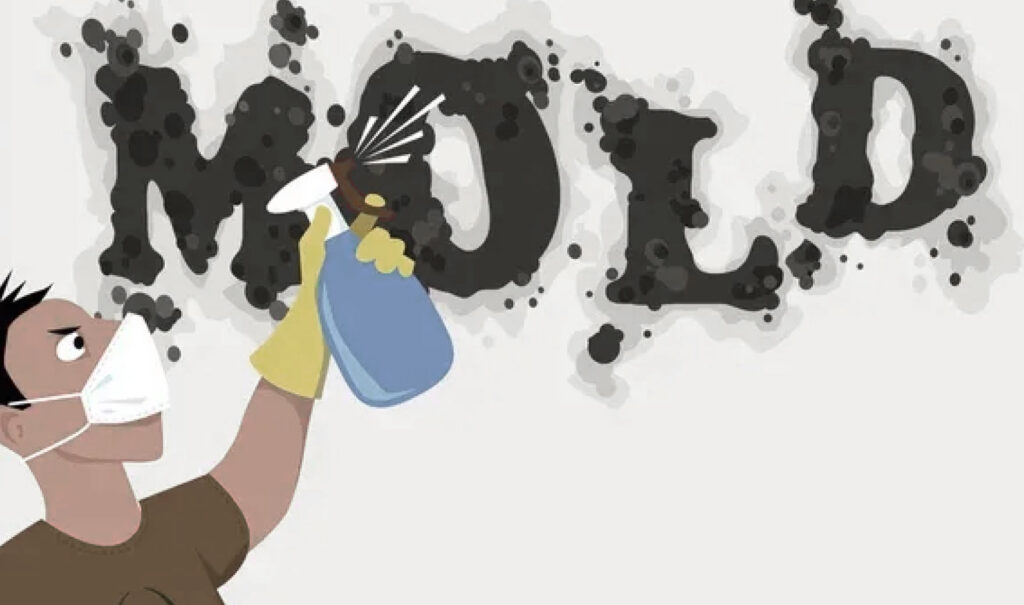 about mold